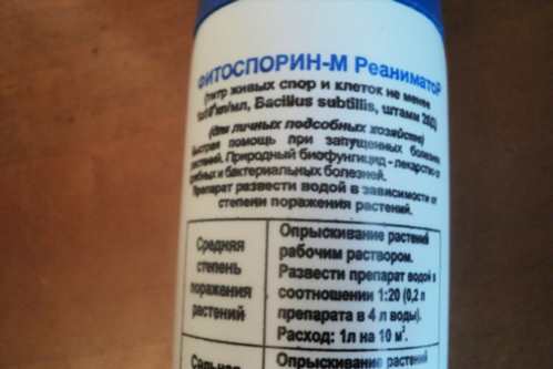 Як і коли застосовувати «Фітоспорін М» для обробки томатів?