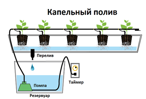 Забезпечення гідропоніки для полуниці